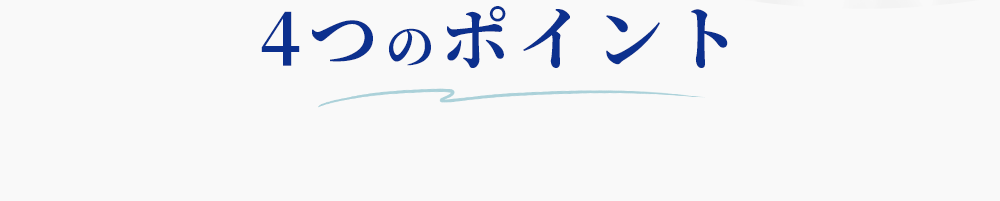 4つのポイント