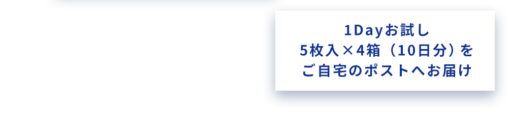 1Dayお試し 5枚入x4箱（10日分）をご自宅のポストへお届け